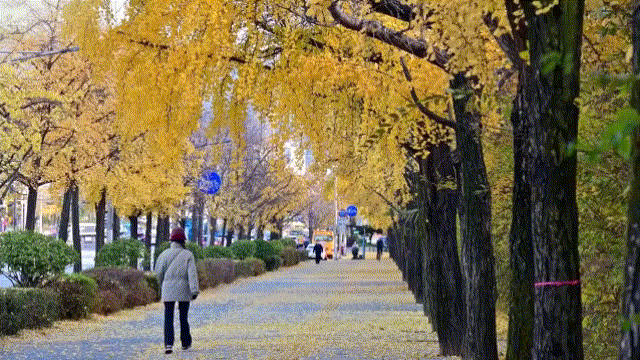11.gif 蒙版高級玩法詳細教程--漸變轉(zhuǎn)場